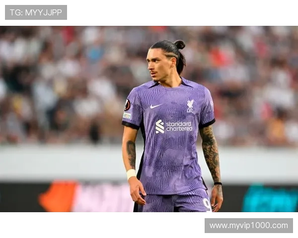 国家队关键战:努涅斯在南美赛场的表现评估 国家队关键战:努涅斯在南美赛场的表现评估